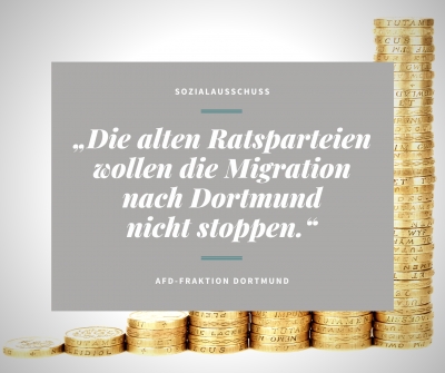 Establishment stimmt geschlossen gegen AfD-Antrag: „AfD fordert: Sachleistungen statt Geldleistungen für ausreisepflichtige Ausländer.“