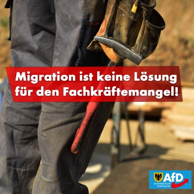 Bisherige Migration löst den Fachkräftemangel nicht!