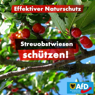 Effektiver Naturschutz: Streuobstwiesen schützen!