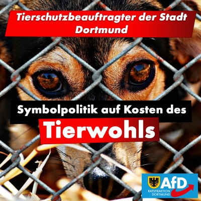 Tierschutzbeauftragter ist Symbolpolitik auf Kosten des Tierwohls und der klammen Stadtkasse