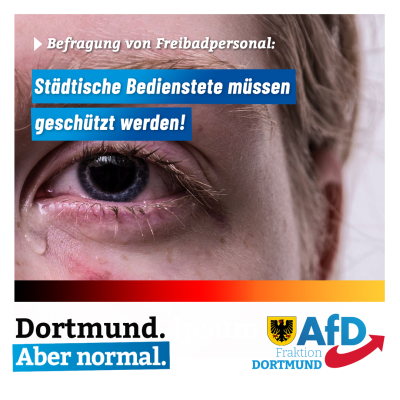 +++ Erstellung und Durchführung einer Umfrage für das Dortmunder Freibadpersonal +++